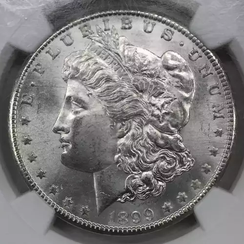 1899 (5)