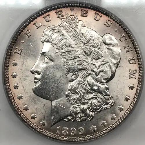 1899 (2)