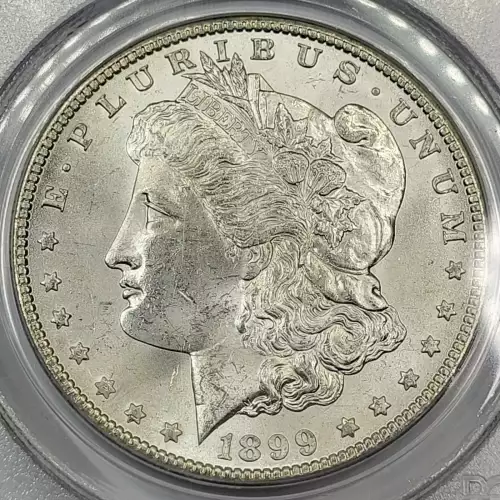 1899-O $1 (2)