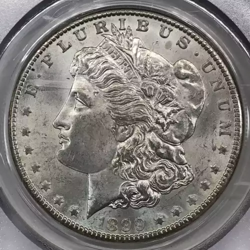 1899-O $1 (4)