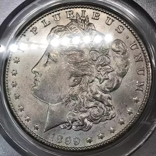 1899-O $1 (5)