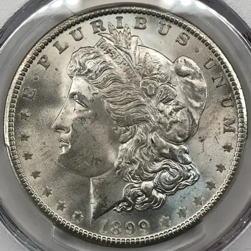 1899-O $1 (4)