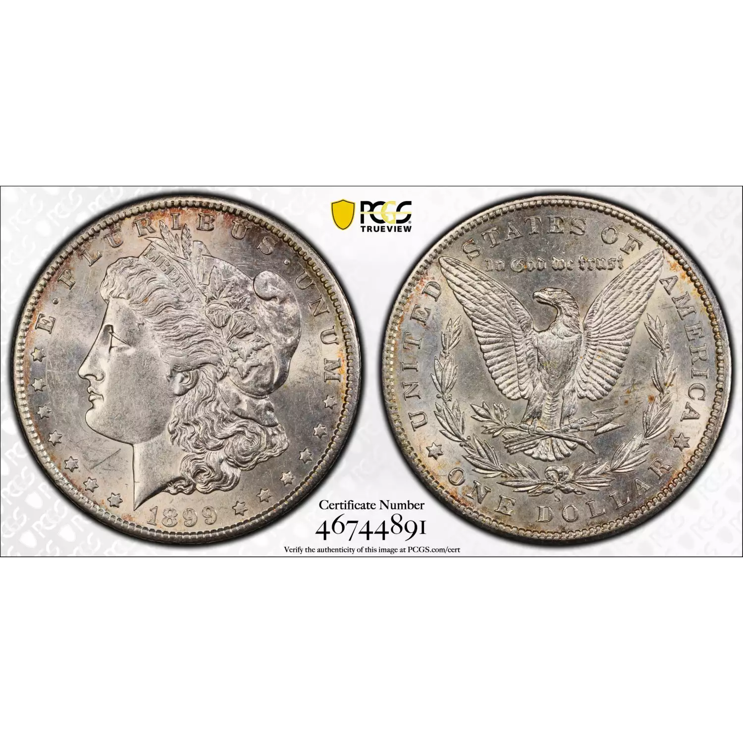 1899-S $1