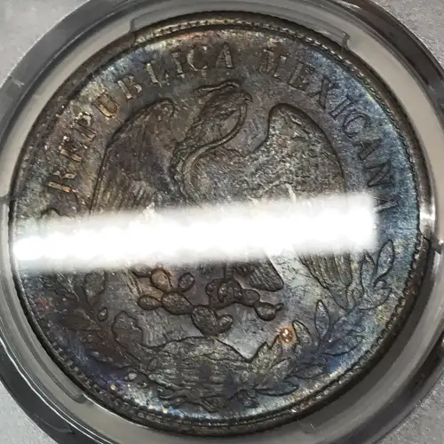 1899-Zs FZ Peso KM-409.3 (3)