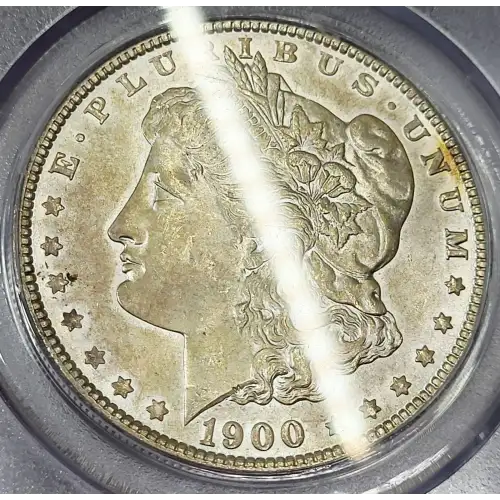 1900 $1 (4)