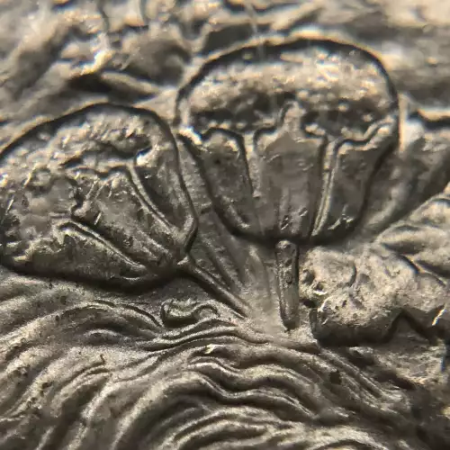 1900-O $1 (5)