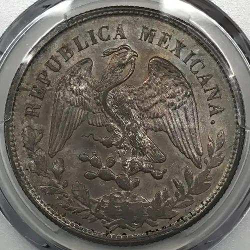 1900-Zs FZ Peso KM-409.3 (3)