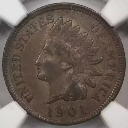 1901  BN (3)