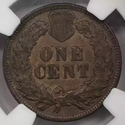 1901  BN
