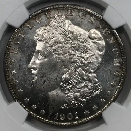 1901  PL (5)
