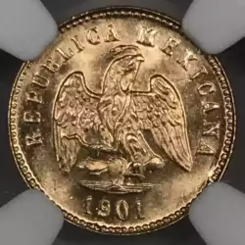 1901CN Q   (5)