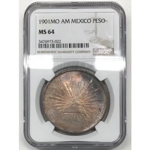 1901MO AM (6)