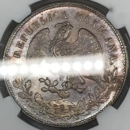 1901MO AM (4)