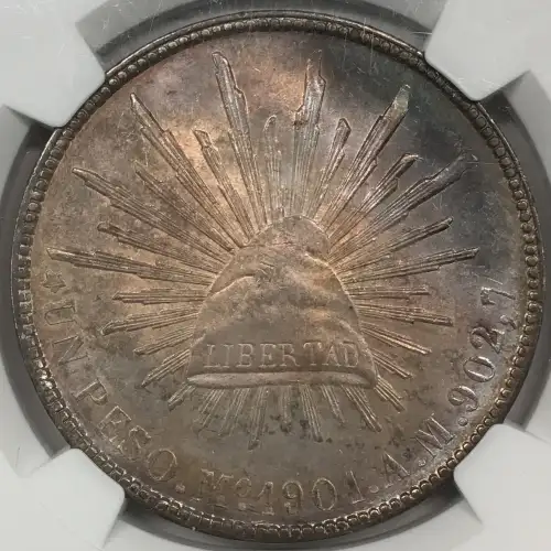 1901MO AM (5)