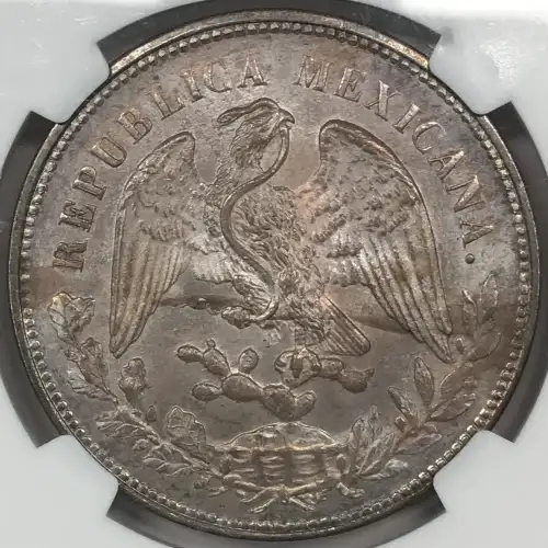 1901MO AM (3)