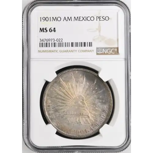 1901MO AM (6)