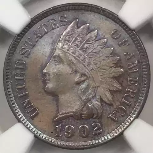 1902  BN (3)