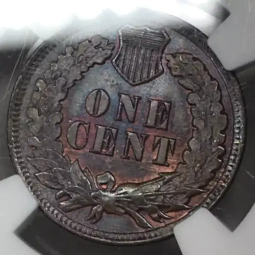 1902  BN
