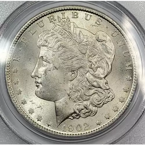 1902-O $1 (2)