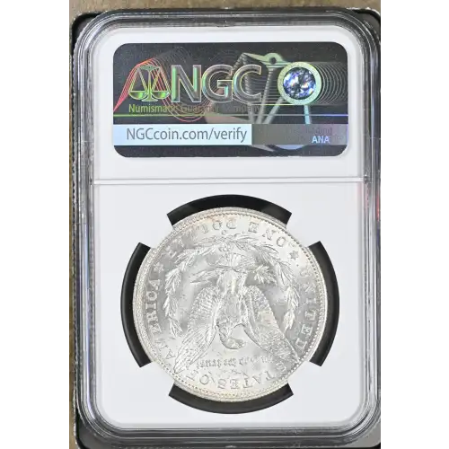 1904 (7)