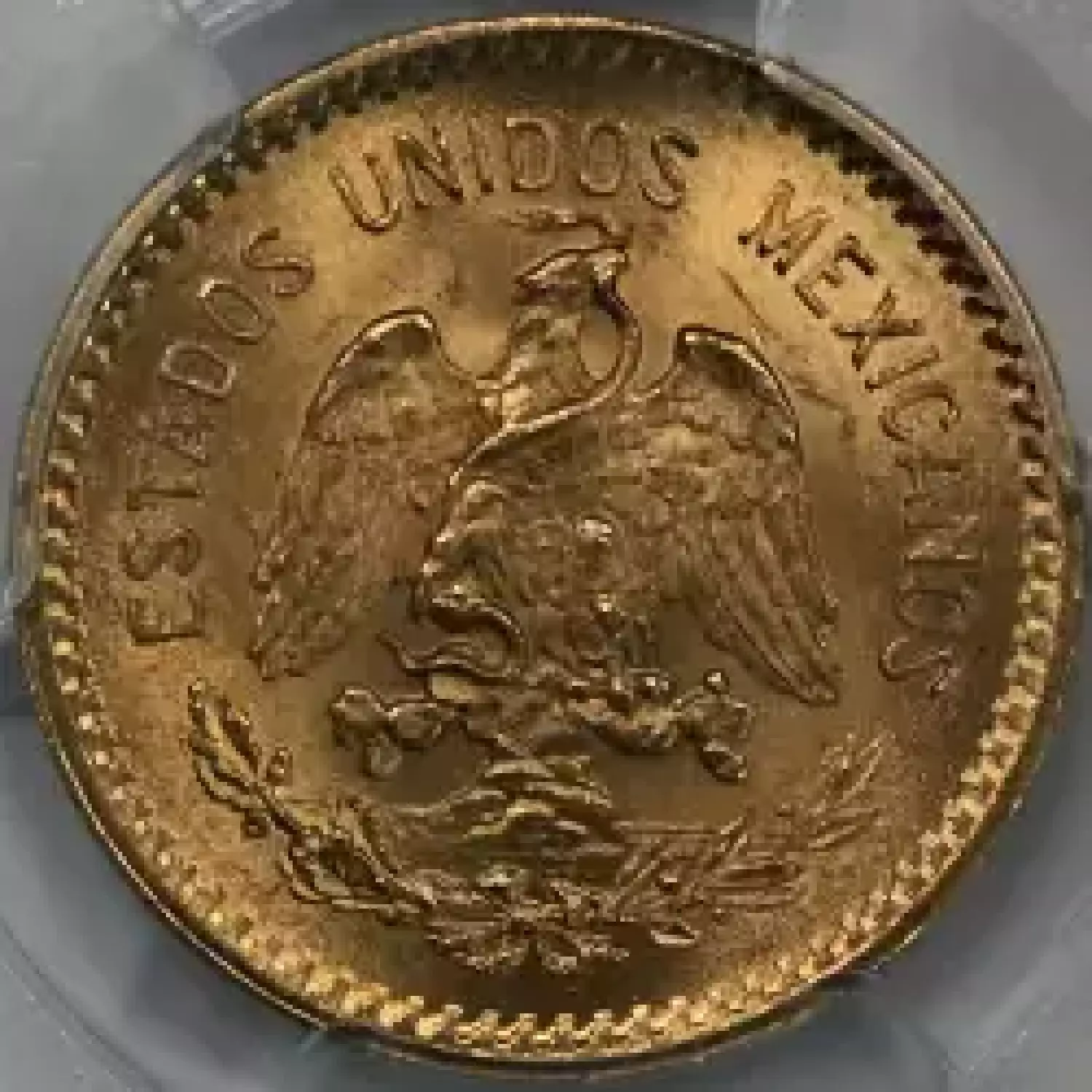 1906-M 10 Peso (7)