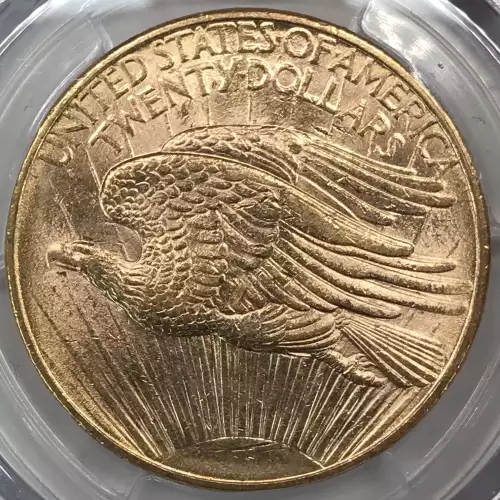 1908-D $20 No Motto (4)