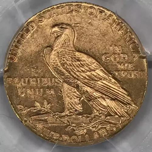 1909-D $5 (4)