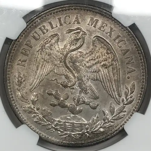 1909MO GV (4)