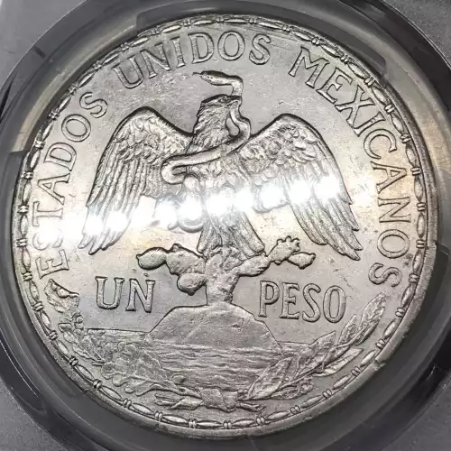 1911 Peso KM-453 Long Ray (2)