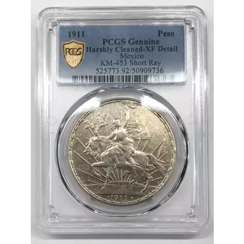 1911 Peso KM-453 Short Ray (4)