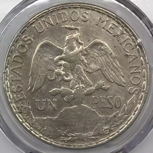 1911 Peso KM-453 Short Ray (5)