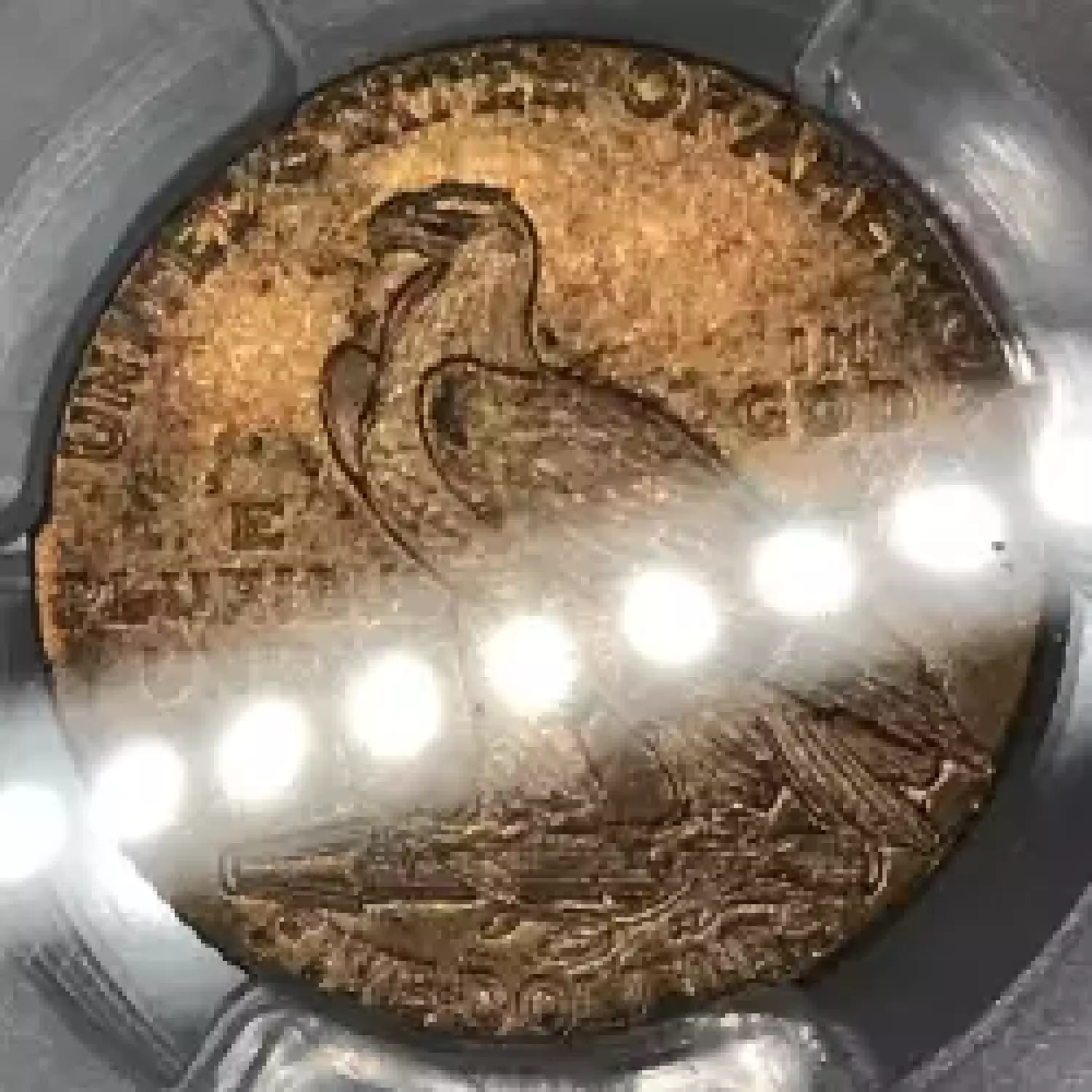 1913 $5 (4)