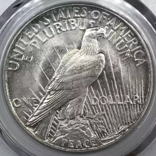1921 (5)