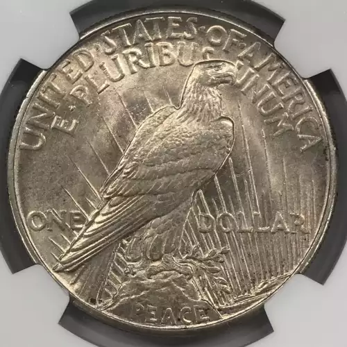 1921 HIGH RELIEF  (3)