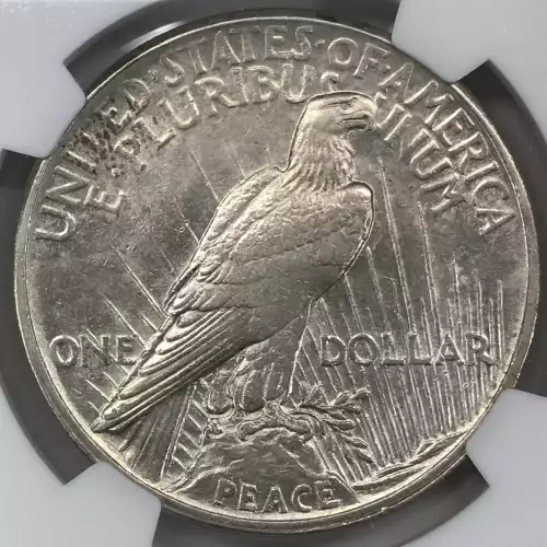 1921 HIGH RELIEF  (5)