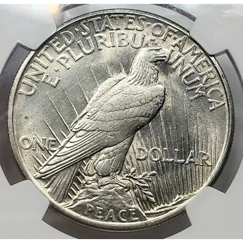 1921 HIGH RELIEF (2)