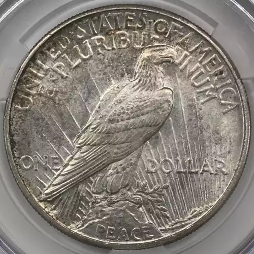1921 Peace $1 High Relief (4)