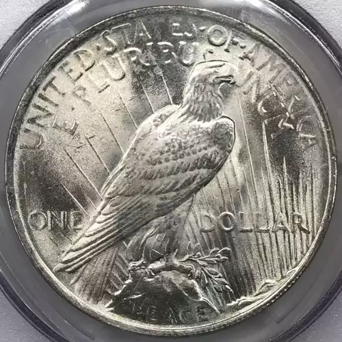 1923 $1