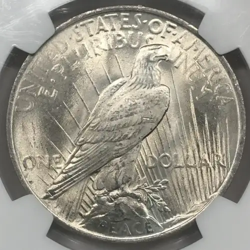 1923