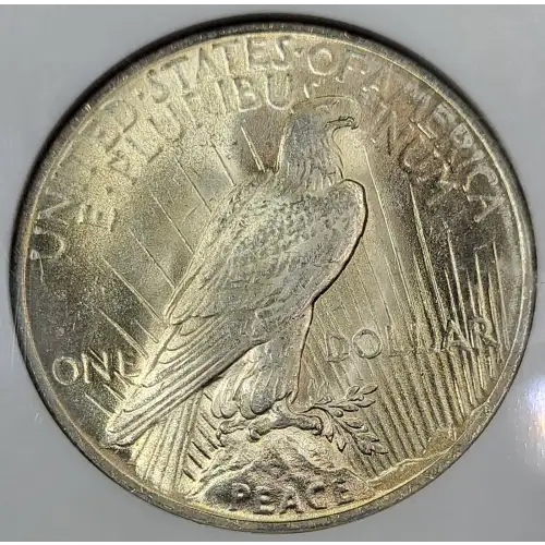 1923 (6)
