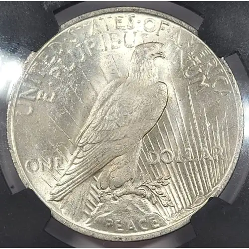 1923