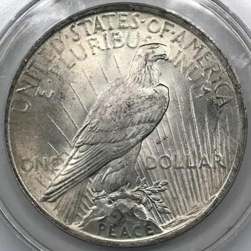 1923