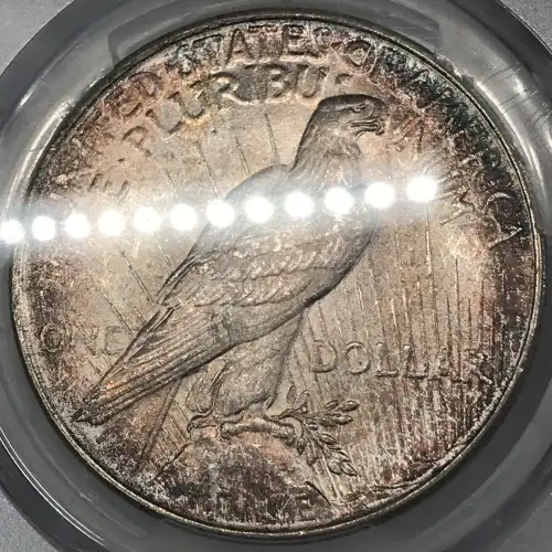 1923-D $1 (7)