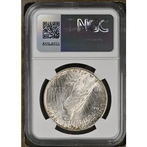 1924 (6)
