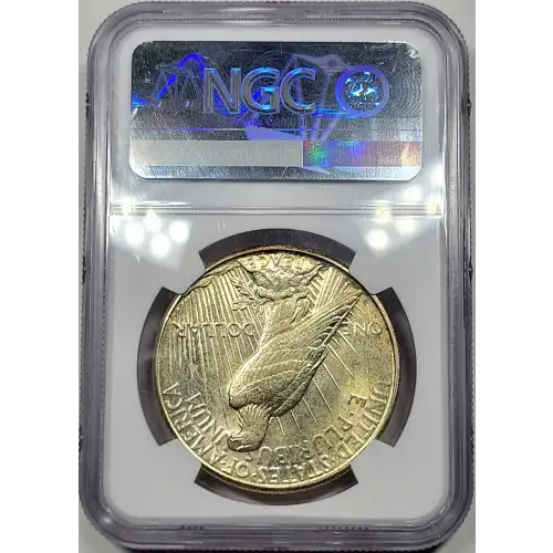 1925 (6)