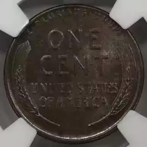 1928  BN (7)