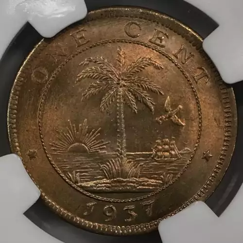 1937   (4)