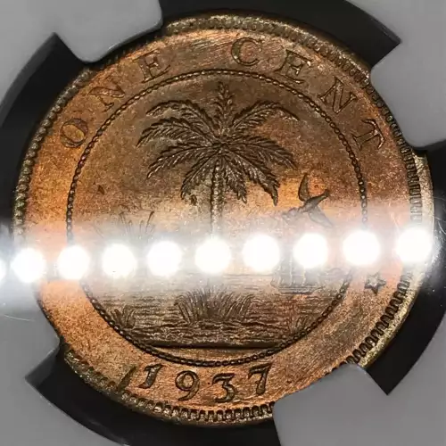1937   (5)