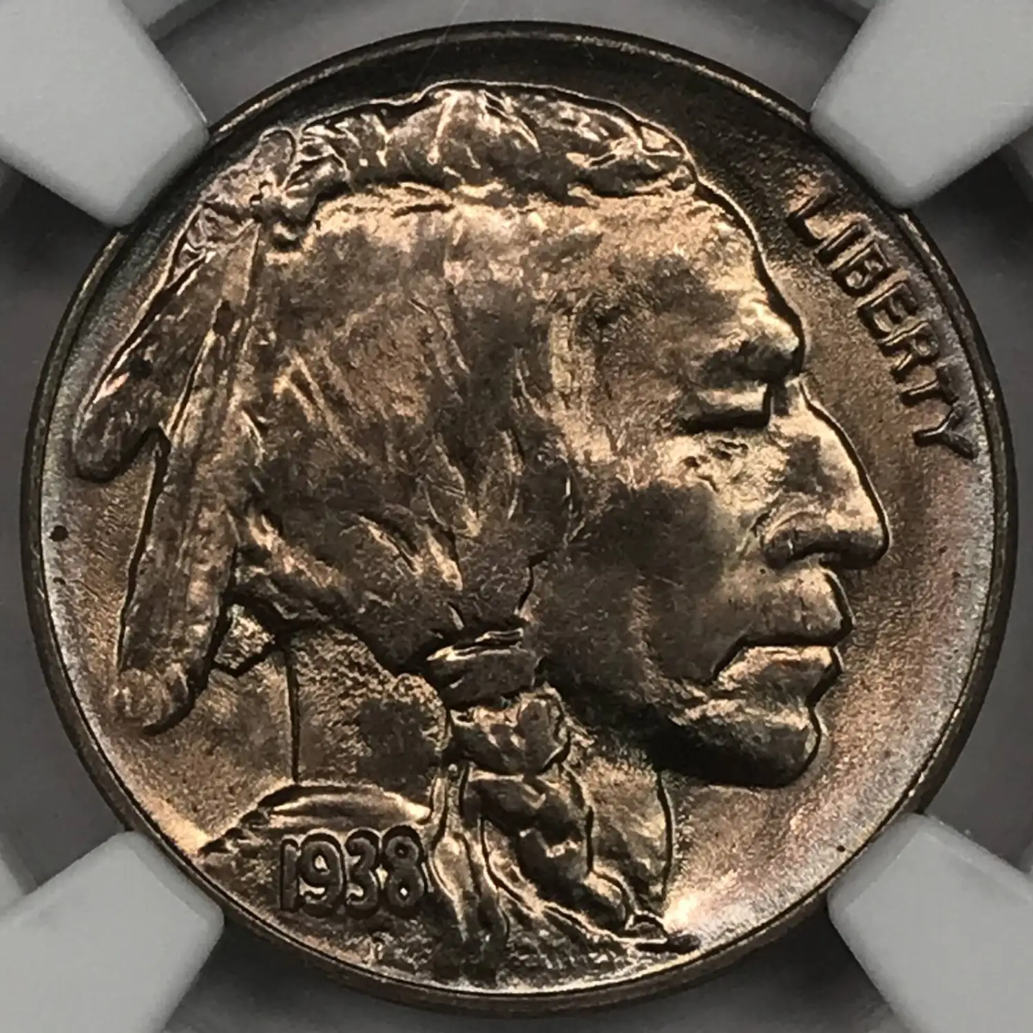 1938-D Buffalo Nickel NGC MS-66 - Old Pueblo Coin