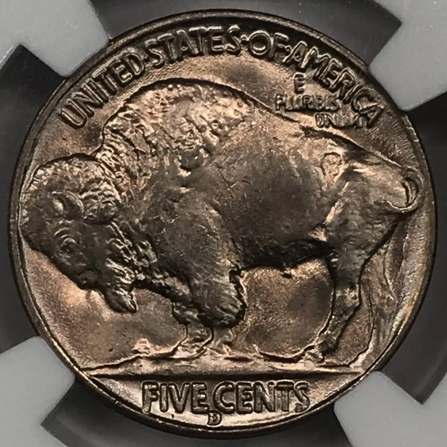 □１９３８年□教会◇１８cm◇ ◇ 1938-D Buffalo Nickel NGC MS-66 - Old Pueblo Coin